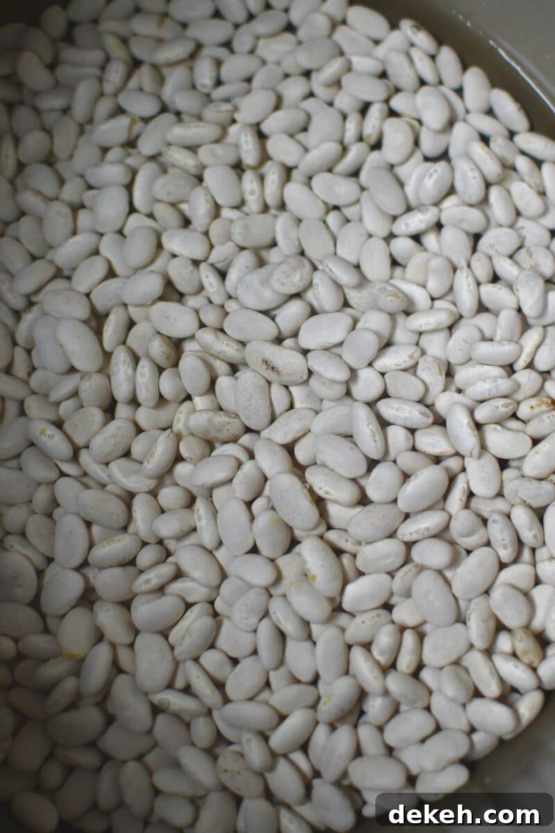 Beans, before pressure cooking in and electric pressure cooker or instant pot.