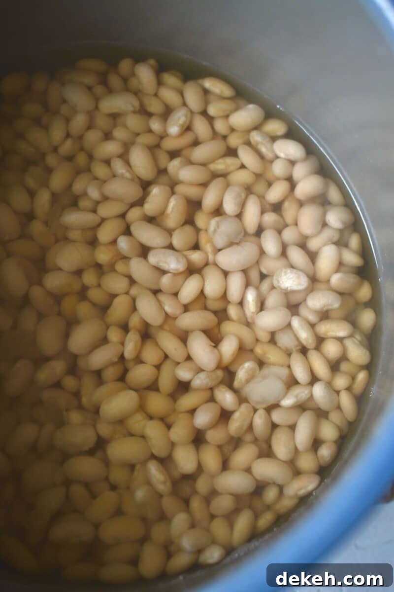 Beans, after pressure cooking in and electric pressure cooker or instant pot.