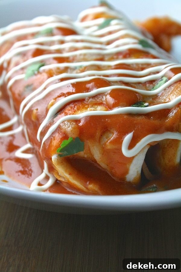 Sour Cream and Chicken Enchiladas
