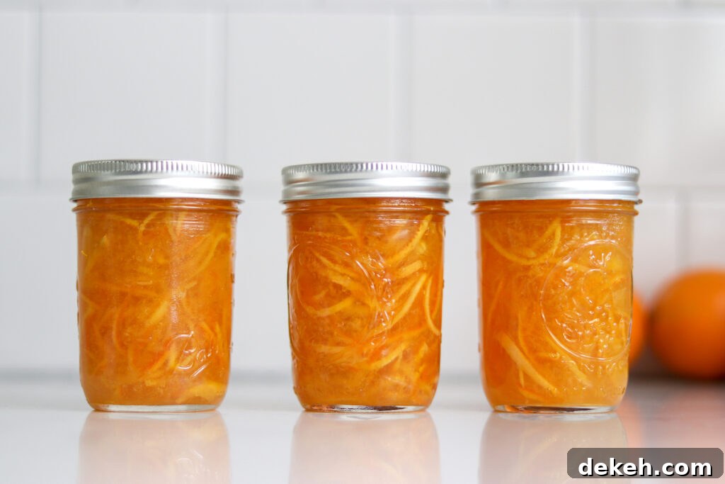Low Sugar Orange Marmalade