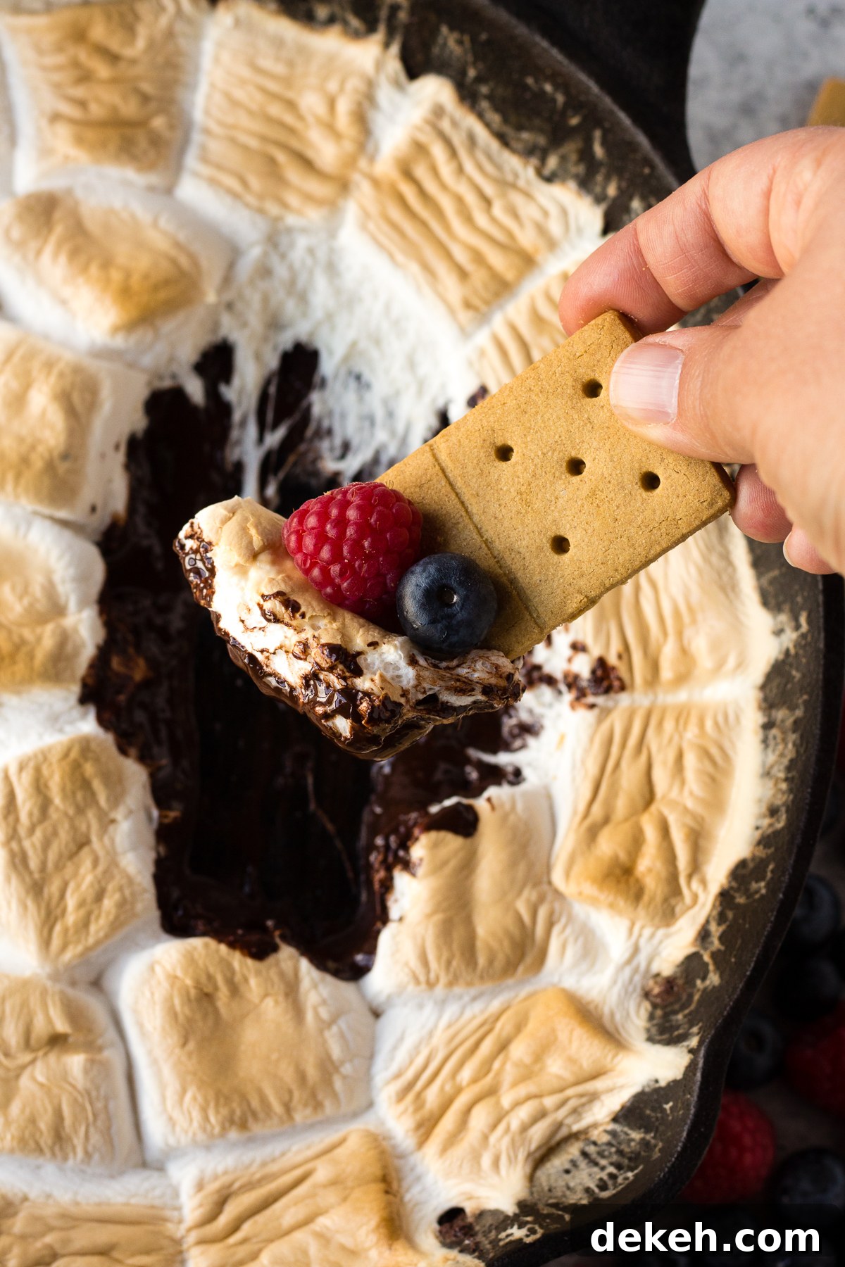 Vegan S'mores Dip by Flora & Vino 