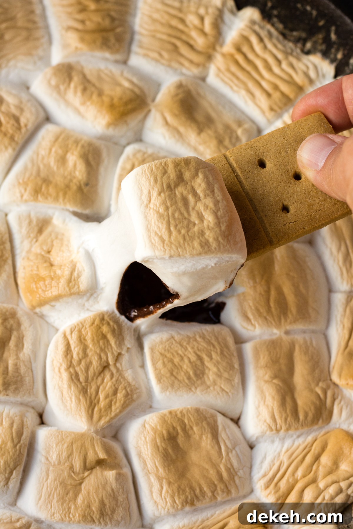 Vegan S'mores Dip by Flora & Vino 