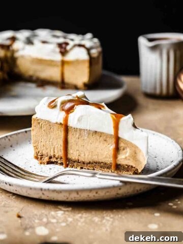 A slice of gingerbread cheesecake topped with whipped cream and caramel sauce on a white plate.