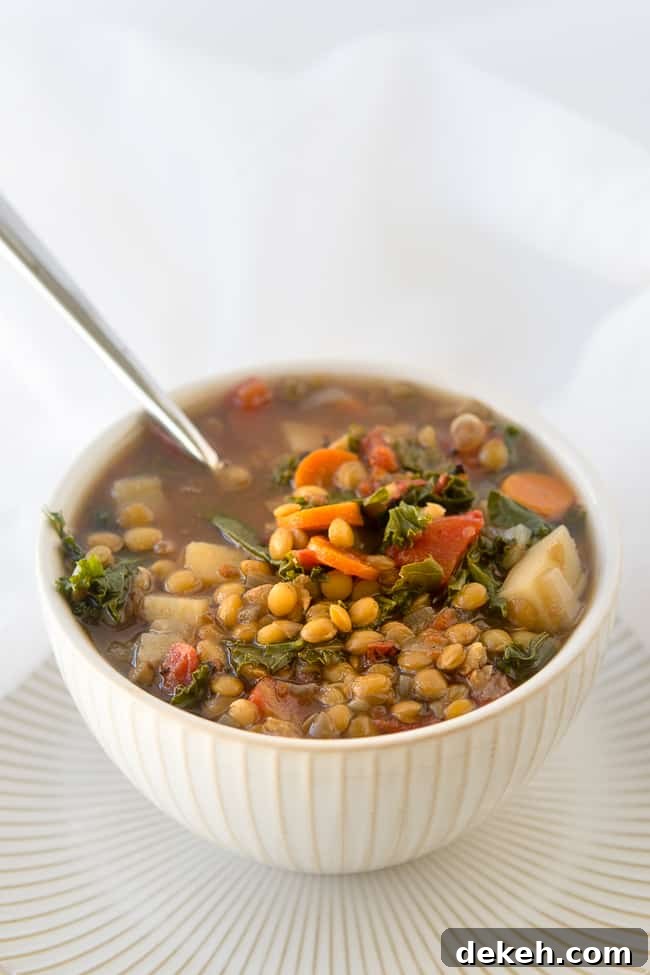 Crock Pot Vegetable Lentil Soup Recipe - This warm and comforting veggie lentil soup is vegan, delicious, and so easy to prepare using your slow cooker. This is a fantastic plant-based meal that will warm your belly and leave you feeling satisfied.