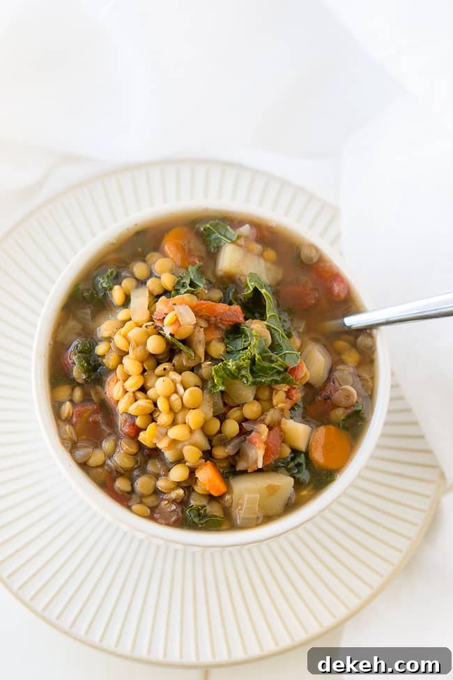 Crock Pot Vegetable Lentil Soup Recipe - This warm and comforting veggie lentil soup is vegan, delicious, and so easy to prepare using your slow cooker. This is a fantastic plant-based meal that will warm your belly and leave you feeling satisfied.