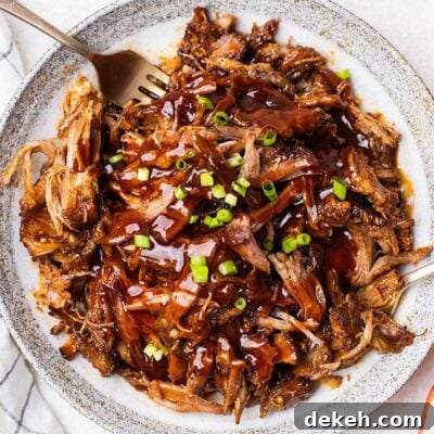 A white plate with bbq pulled pork garnished with green onions.