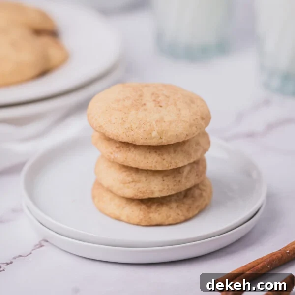 An image of a stack of snickerdoodles on a small plate.