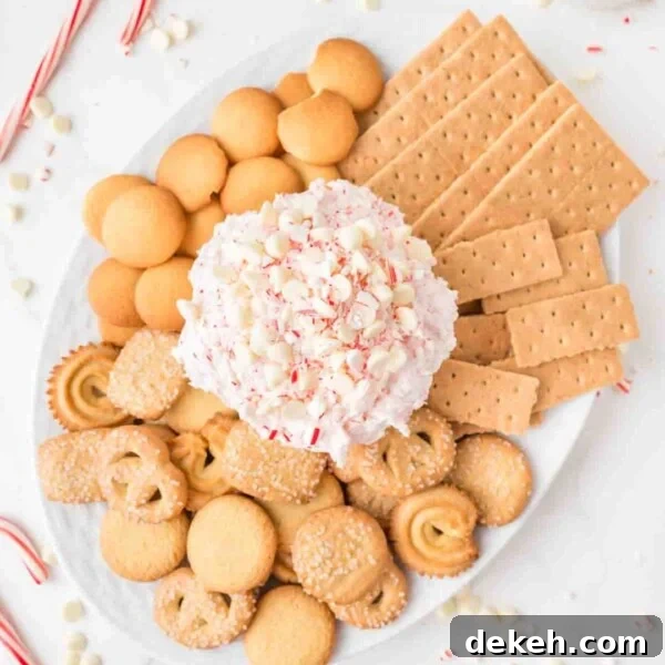 An overhead image of peppermint dip with crackers and biscuits around it.