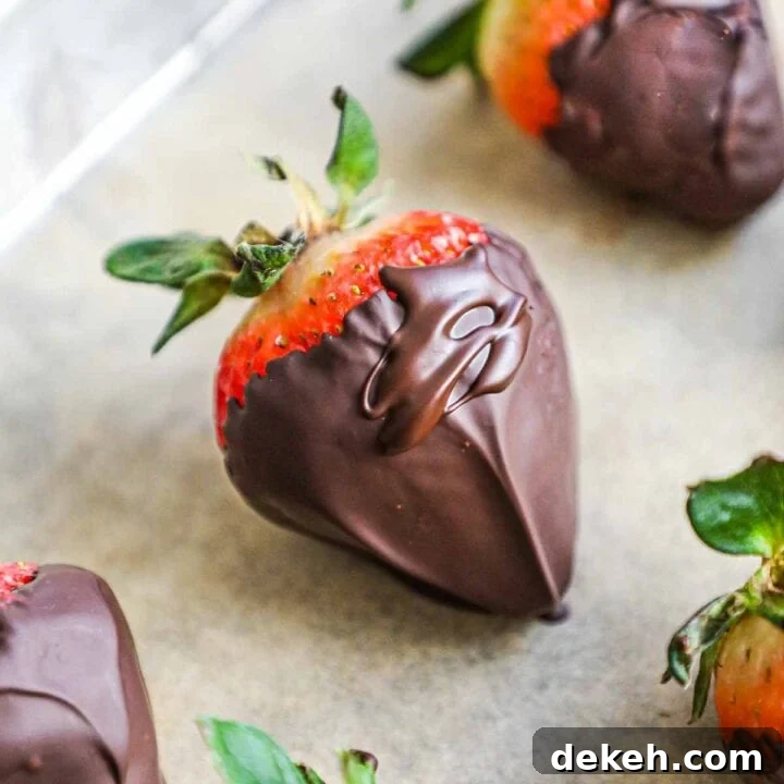 Chocolate covered strawberries on a baking sheet lined with parchment paper.