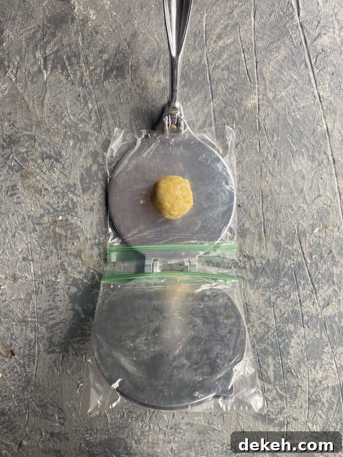 A ball of dough on a tortilla press