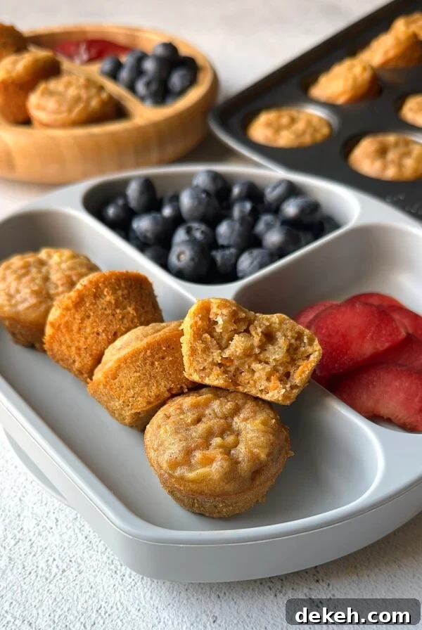 Banana carrot muffins served with blueberries and plums.
