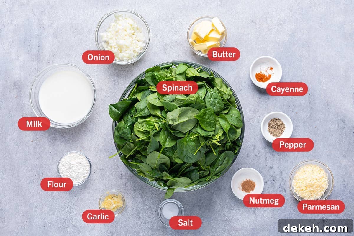 white background with ingredirents laid out, onion, butter, cayenne, milk, spinach, pepper, flour, garlic, salt, nutmeg, parmesan