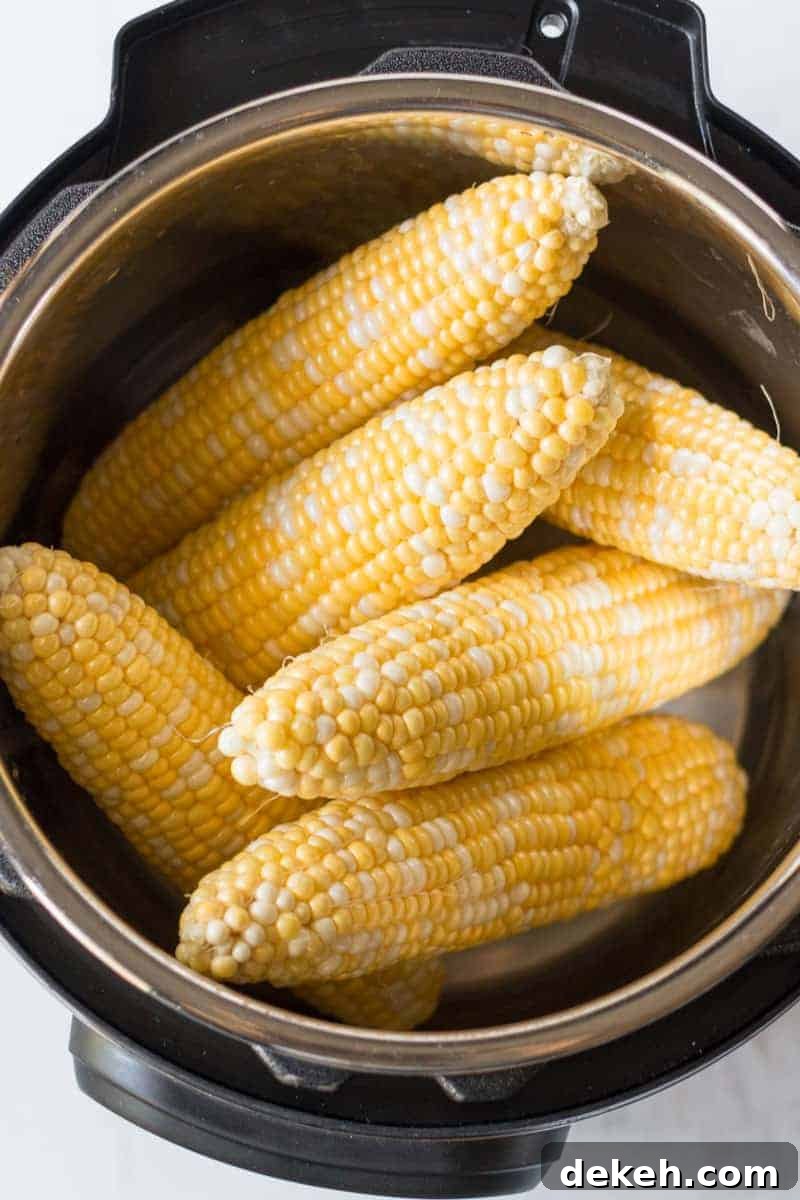 Fresh ears of corn arranged to fit in the Instant Pot.