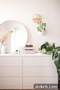 Veggiekins Home Apartment Tour