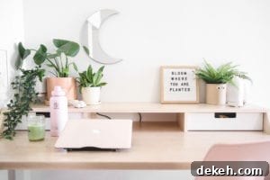 Veggiekins Home Apartment Tour