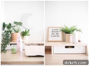 veggiekins apartment tour