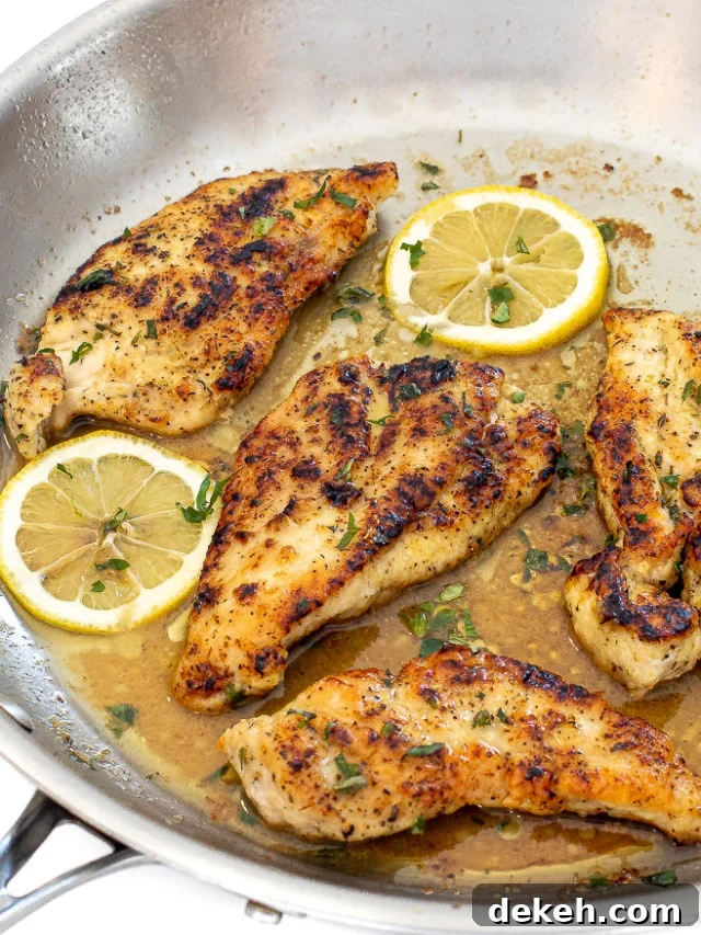 Chicken breast in a skillet with lemons and a garlicky sauce. 