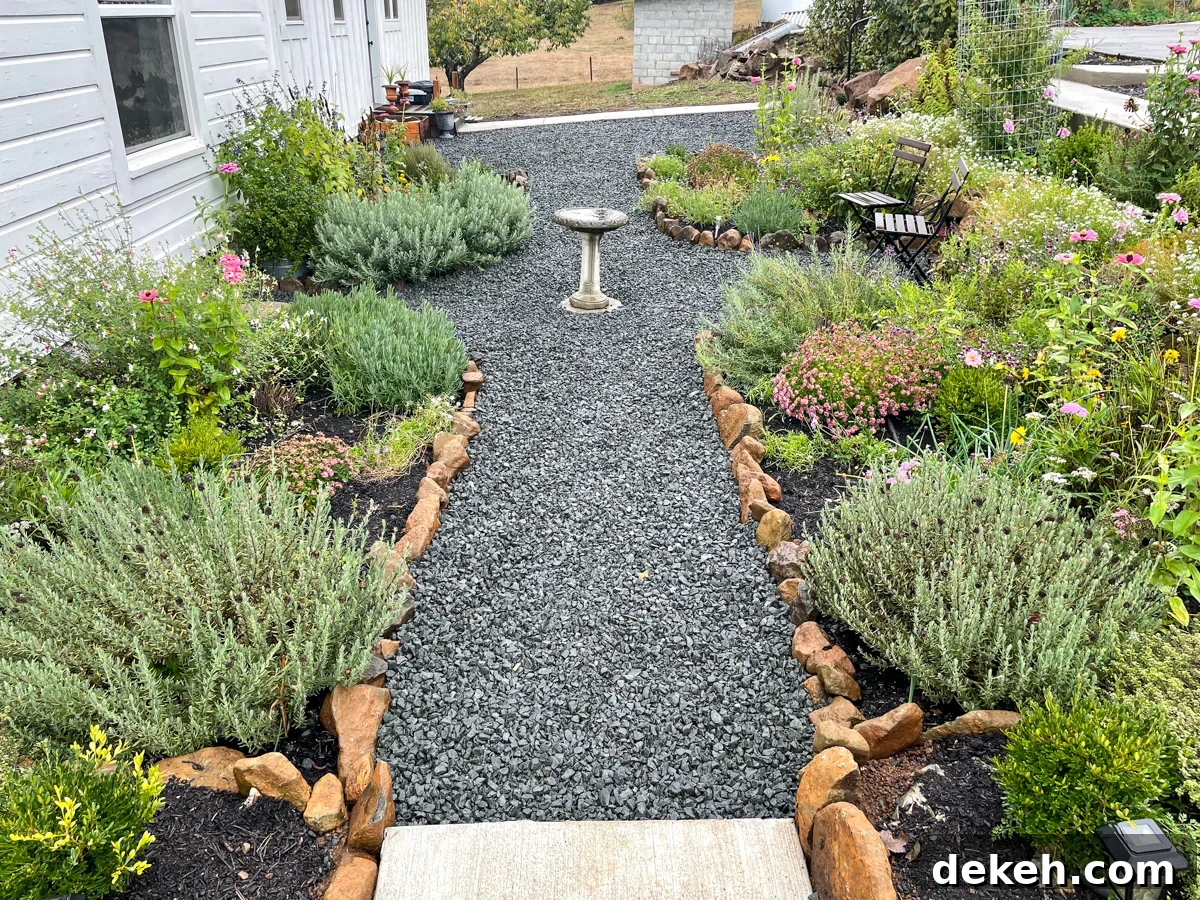 gravel garden path with flowers and herbs at 2.5 years old
