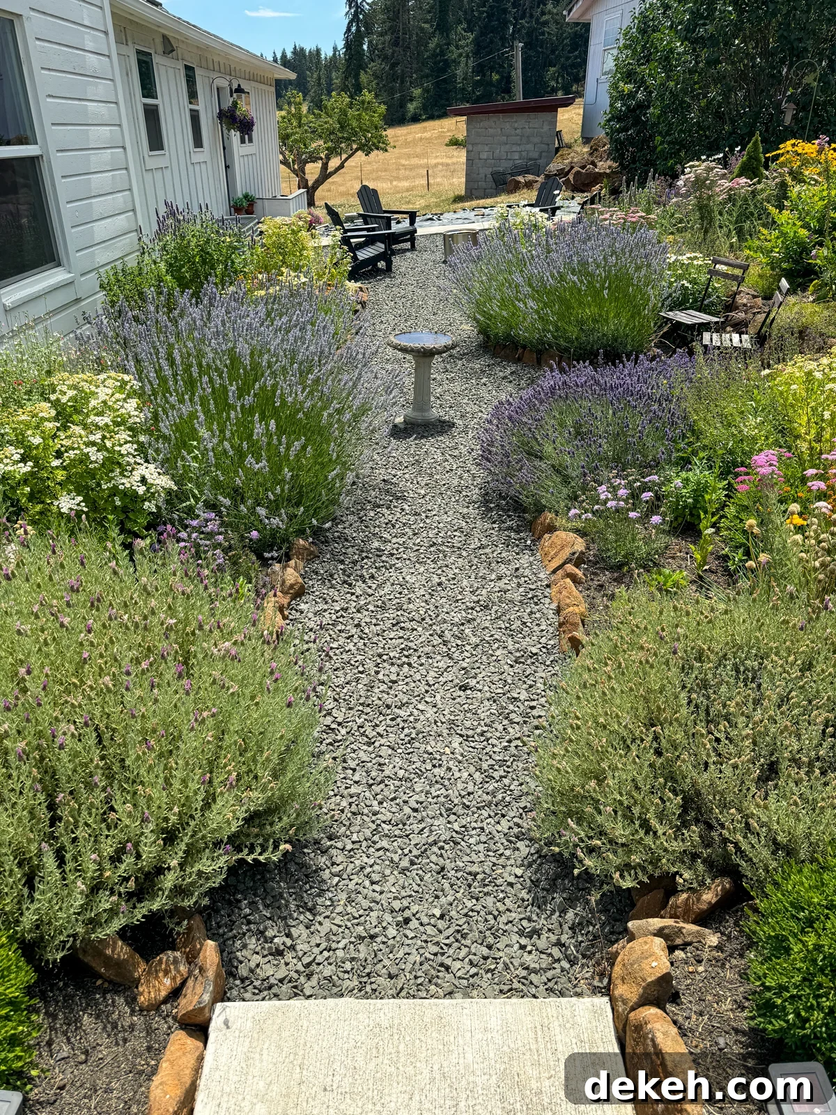 flower and herb garden with gravel paths at 4 years old