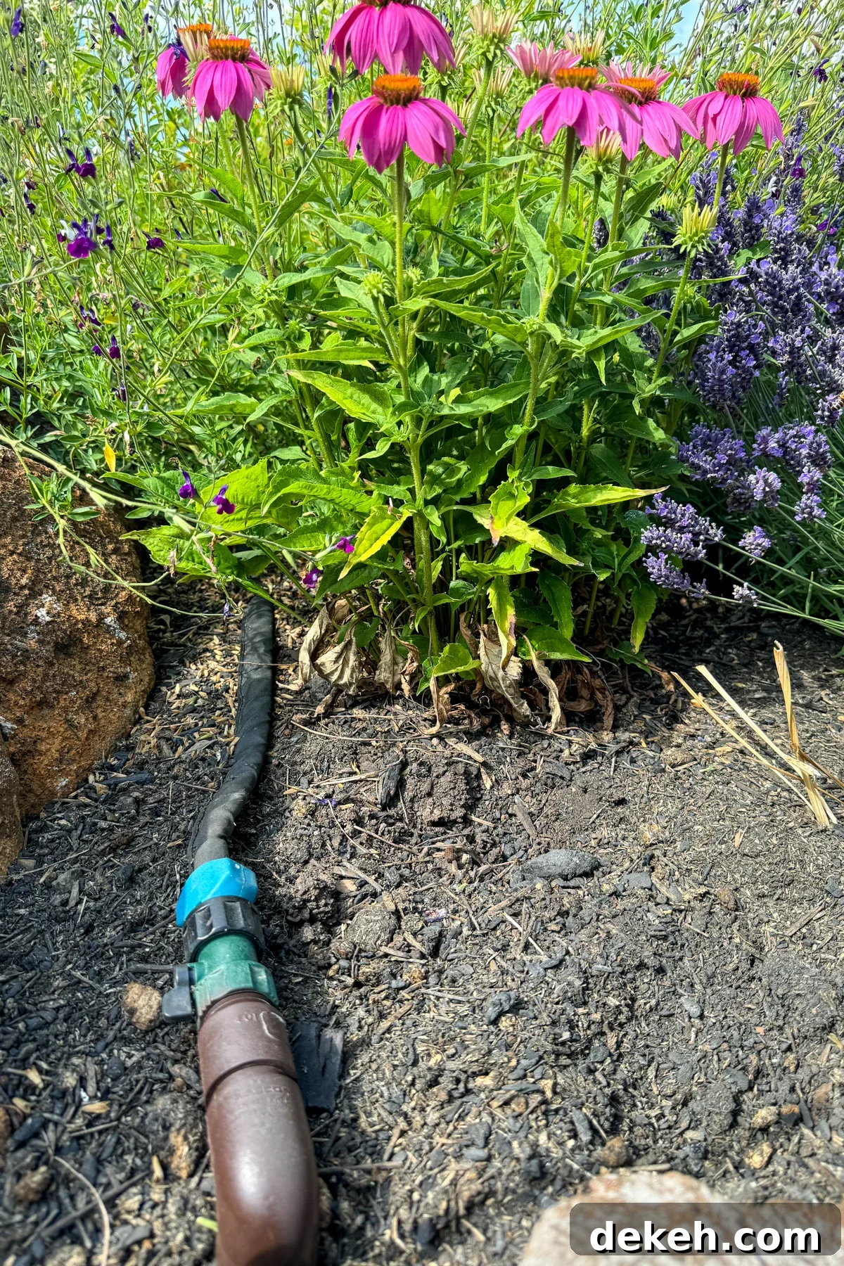 watering system pvc hook up with a cloth soaker hose