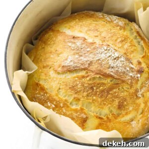 Round, golden-brown crusty bread in a white Dutch oven on parchment.
