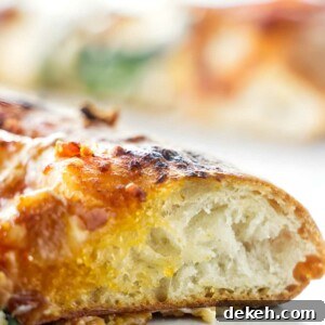 Close-up of pizza slice showing airy crust and melted cheese.