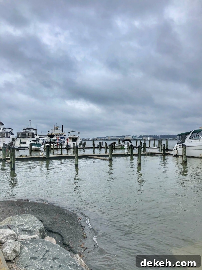 old town alexandria waterfront marina