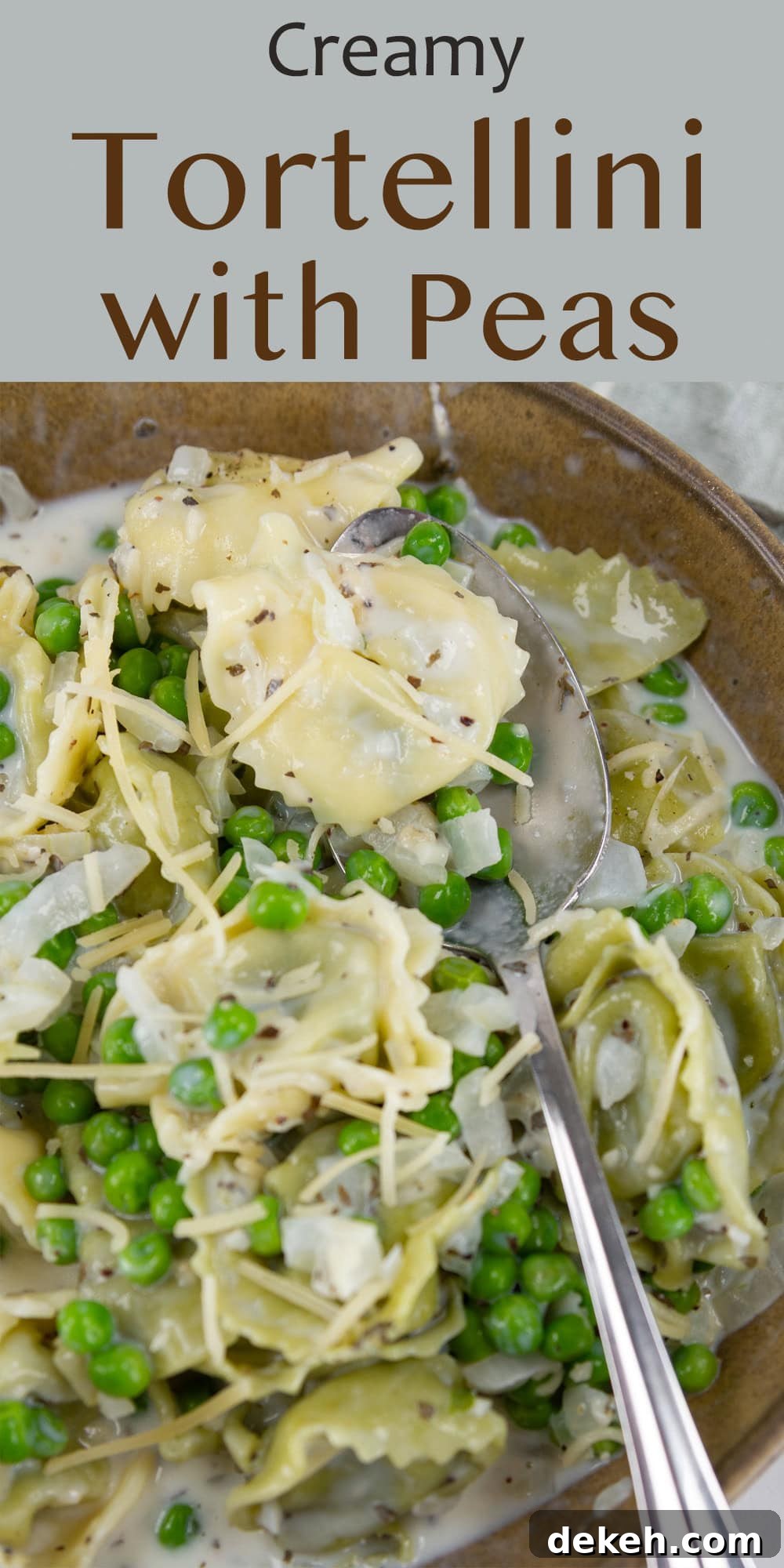 a spoon holding a cooked tortellini in a bowl full of them.