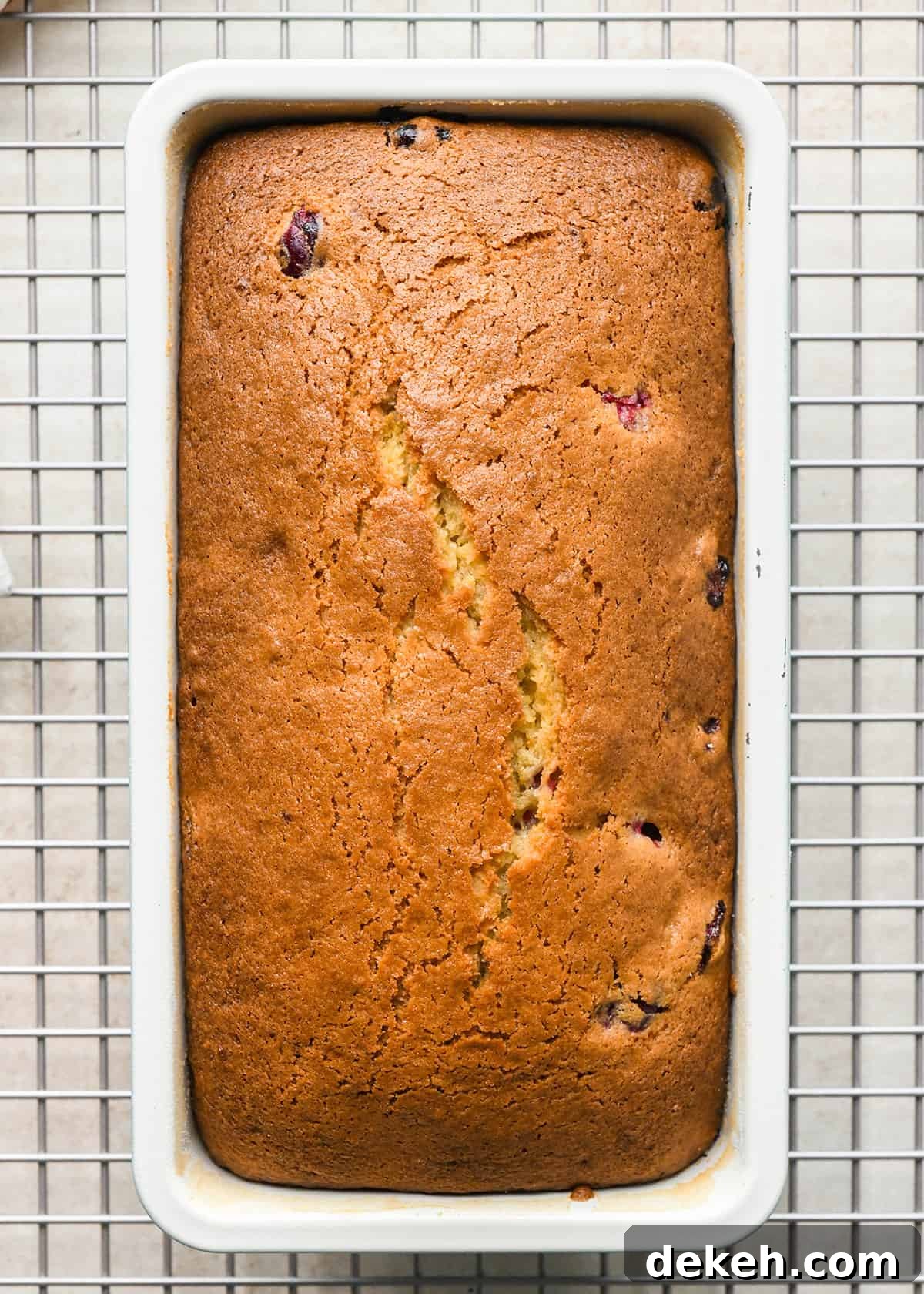 Cranberry Orange Bread in a baking pan after baking on a wire cooling rack.