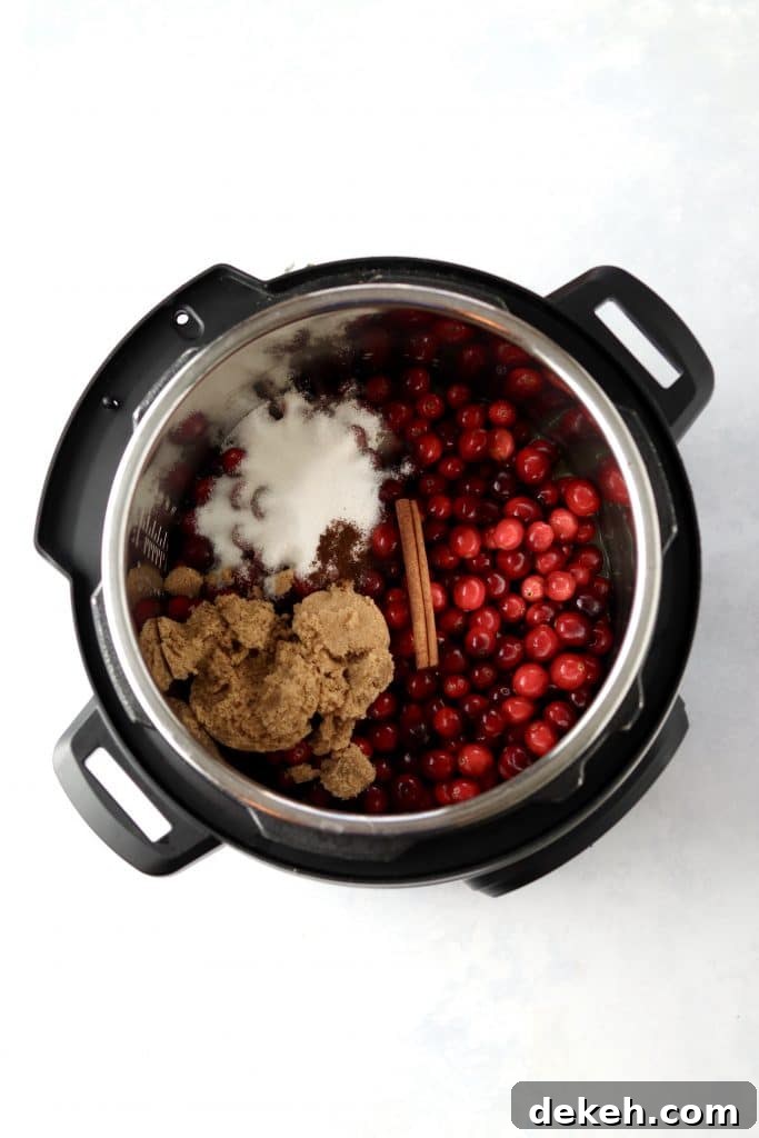 cranberries, sugar, and cinnamon stick in instant pot