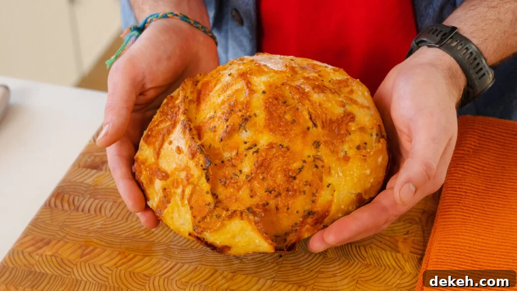 A loaf of no knead cheese bread being held.