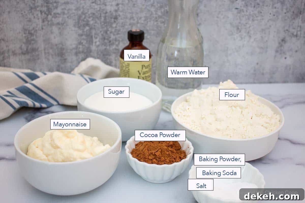 Ingredients for making a chocolate cake. 