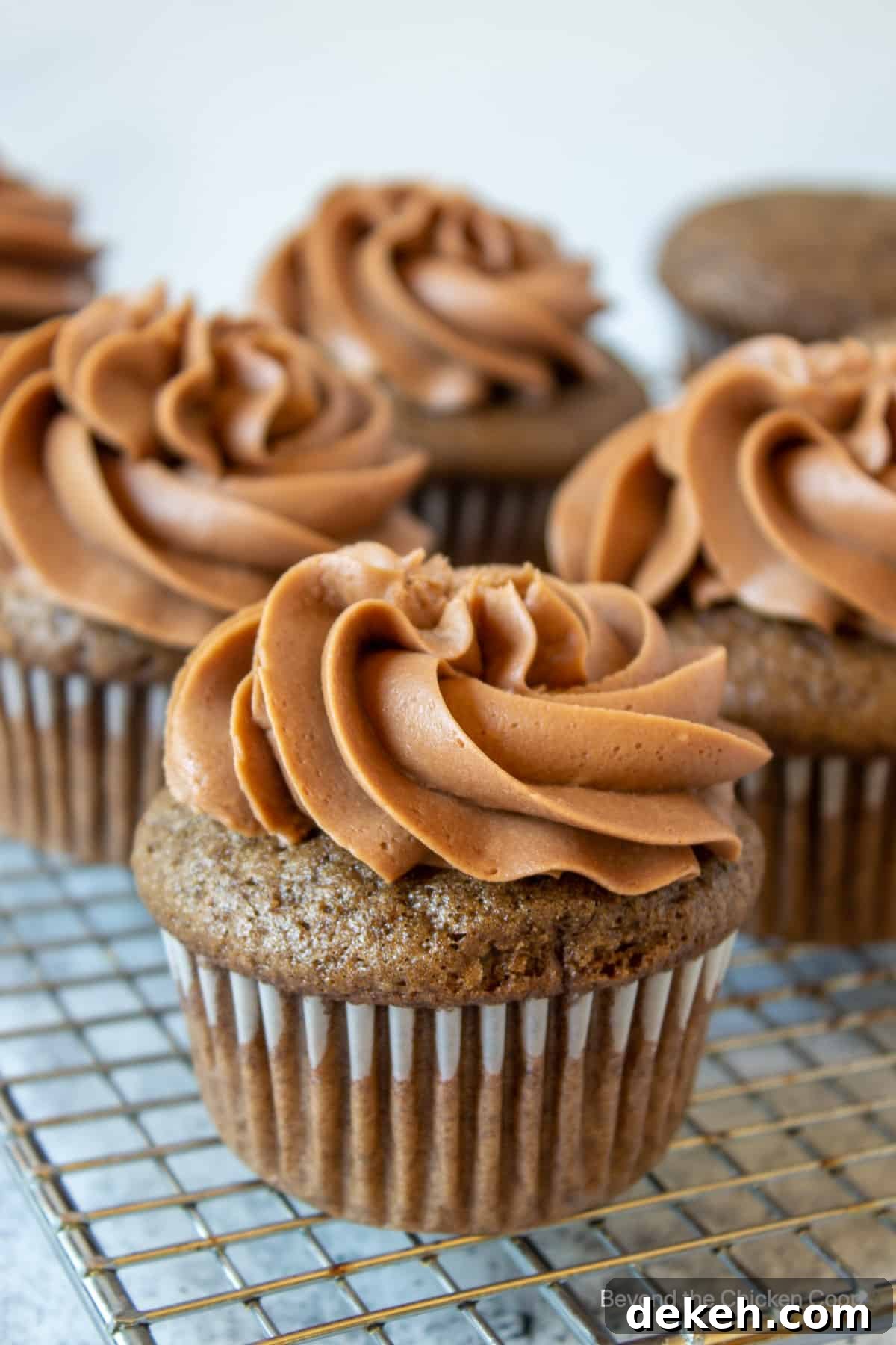 Chocolate cupcakes with chocolate frosting. 