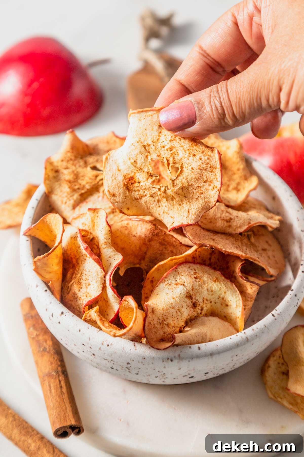 air fryer apple chips with cinnamon.