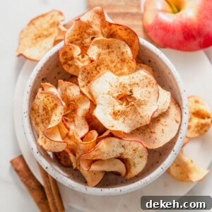 air fryer apple chips on a bowl.