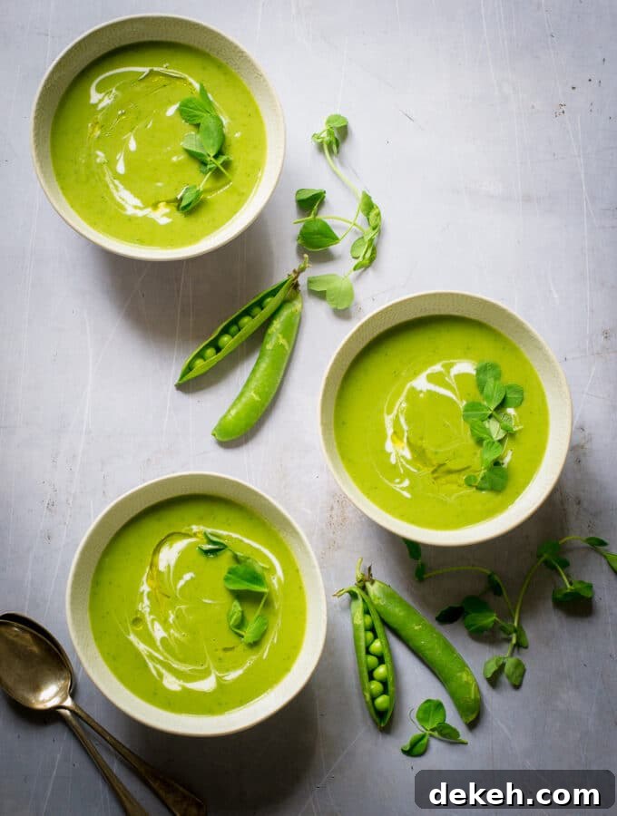 Peapod Soup