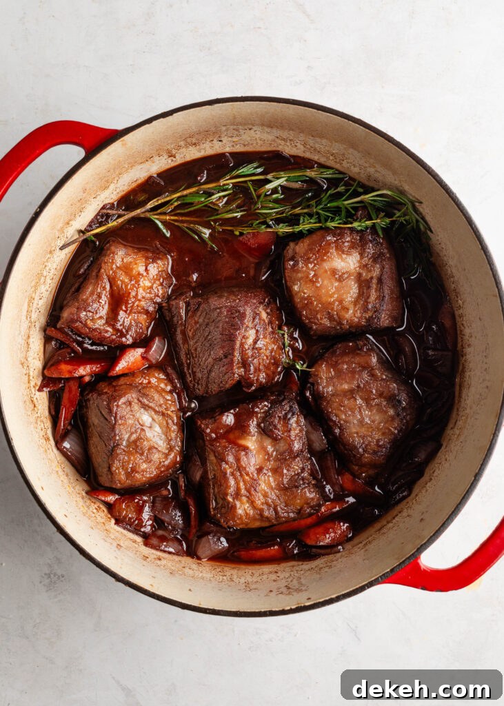 dutch oven with seared short ribs, sautéed vegetables, fresh herbs, and red wine