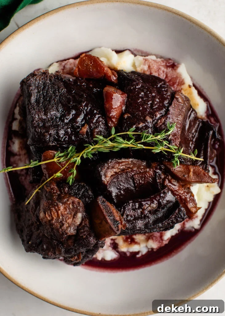 braised beef short ribs over a bed  of mashed potatoes topped with a sprig of fresh thyme.