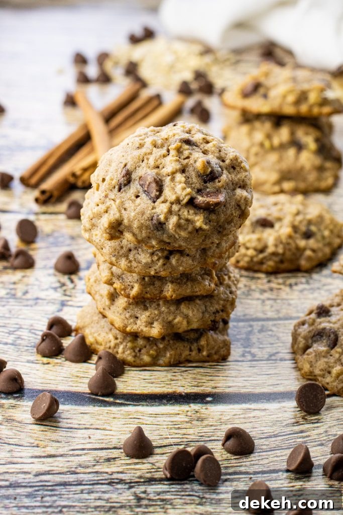 stack of chocolate chip and banana cookies