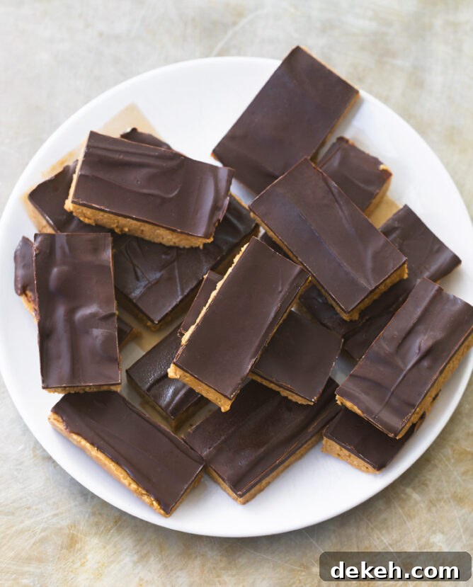Protein Bars