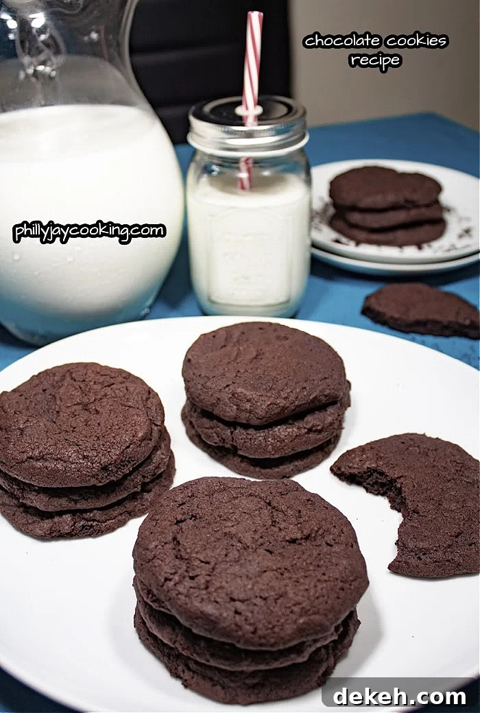 Moist Chewy Chocolate Cookies Recipe for Perfect Chocolate Lovers 2 How To Make Chocolate Cookies