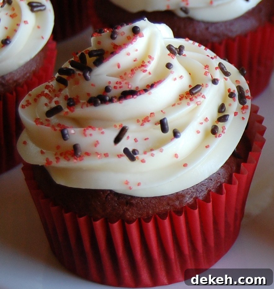 featured 1581