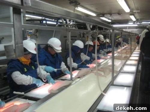 Alaska Fish Processing Alaskan Fish Processing Plant