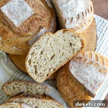 A few loaves of sourdough bread scattered on a counter with one loaf sliced open to show the crumb.