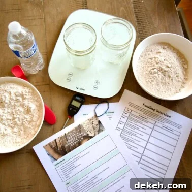A table filled with items needed to make a sourdough starter from scratch.