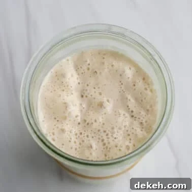 Ripe, active sourdough starter in a jar on a countertop.