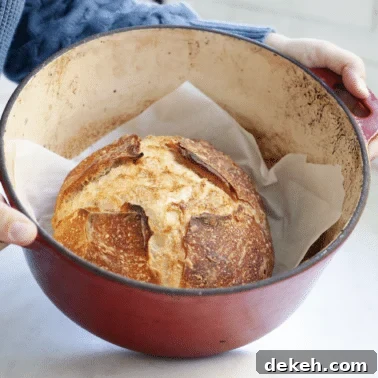 Sourdough bread in a dutch oven on a countertop.