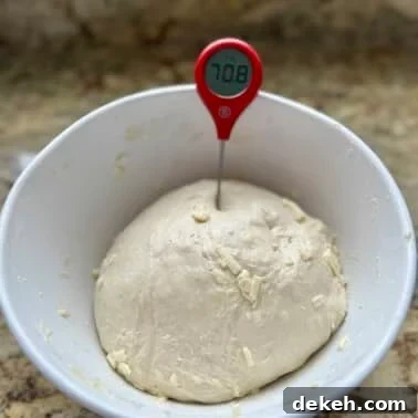Sourdough dough in a bowl with a thermometer showing temperature.