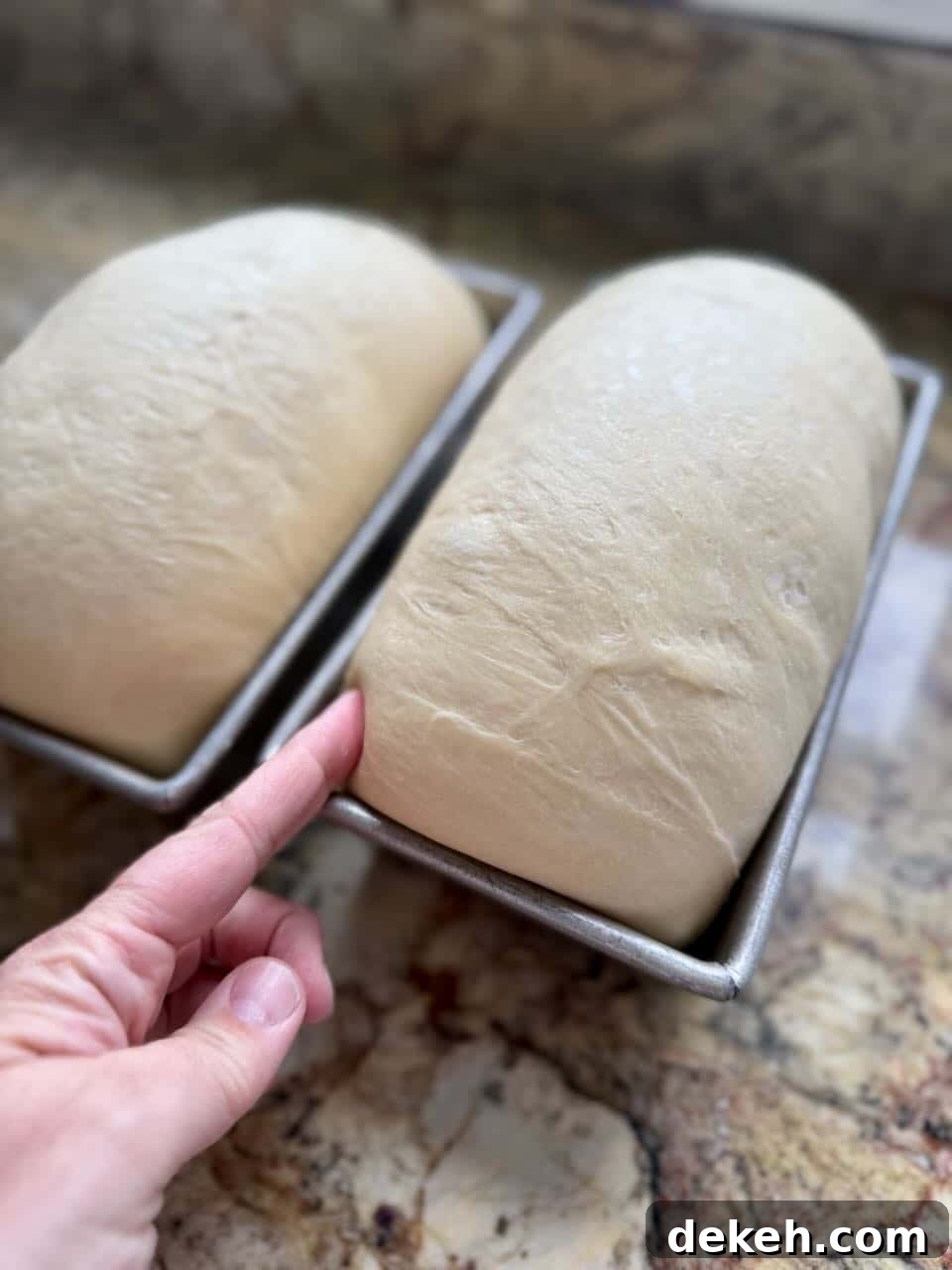 Replace Commercial Yeast with a Sourdough Starter 3 A finger pressing in on a loaf of sandwich bread dough.