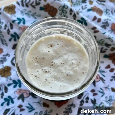 Bubbly sourdough starter in a glass jar ready to use for baking.